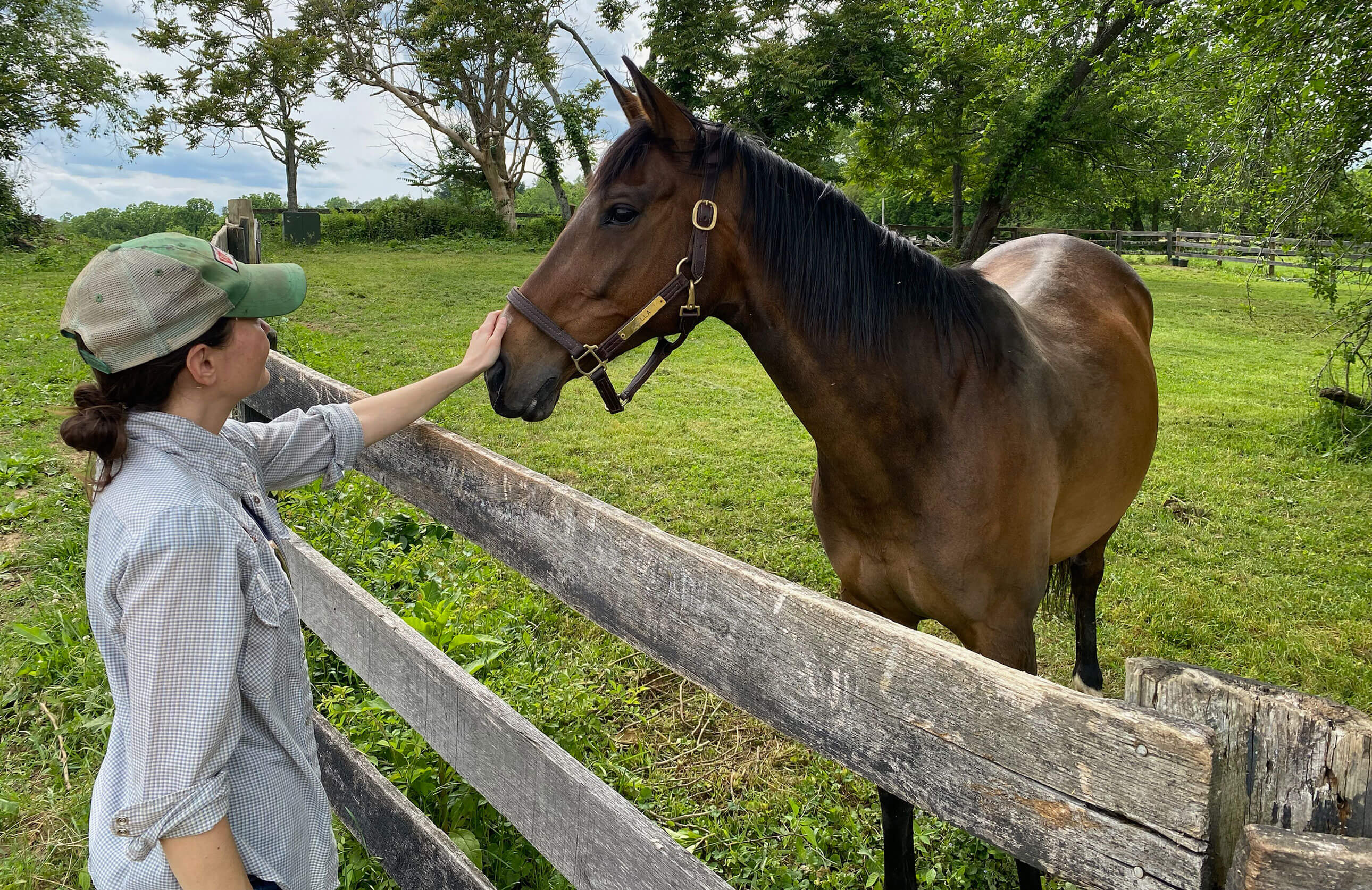 Amanda and a horse